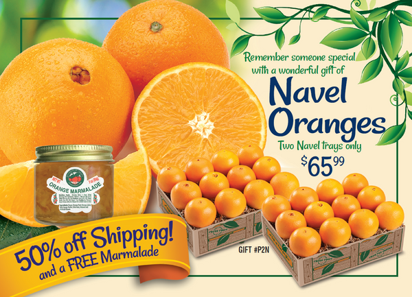 Navel Oranges 2 tray Special Offer and Half-priced shipping - Hyatt Fruit Company