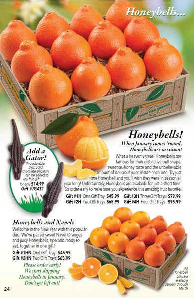 Grove Basket - Honeybells