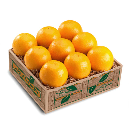 Valencia Oranges Gift Box of 9 Fruit