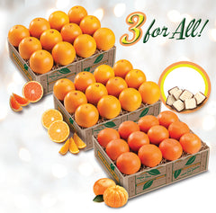 Scarlet Red Navel Oranges - Tropical Fruit Shop